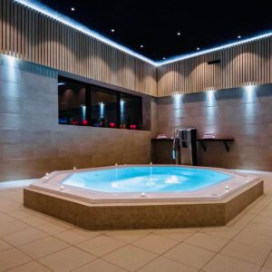 Indoor swimming pool and wellness aera