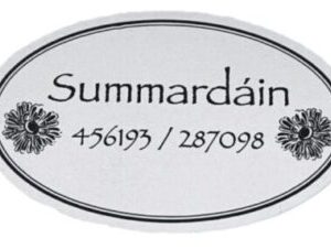 Summardáin