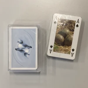 Playing Cards