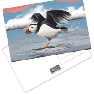 Postcard - Lundi í skundi