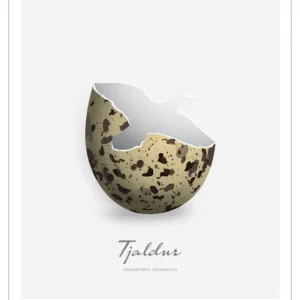 Fjord Poster - Tjaldur