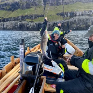 Fish, Visit & Dine in Árnafjørður