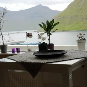 Ánirnar: Amazing Sea and Mountain View