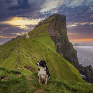 Fantastic Kalsoy Island & Kallur Lighthouse Tour